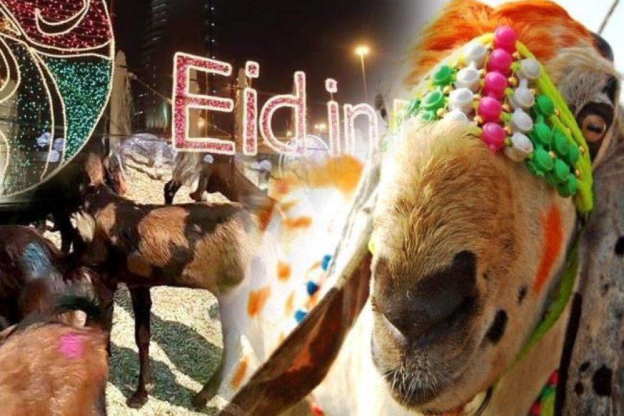अन्य त्योहारों को इको फ्रेंडली के आह्वान के साथ बकरा ईद को बनाये इको फ्रेंडली
