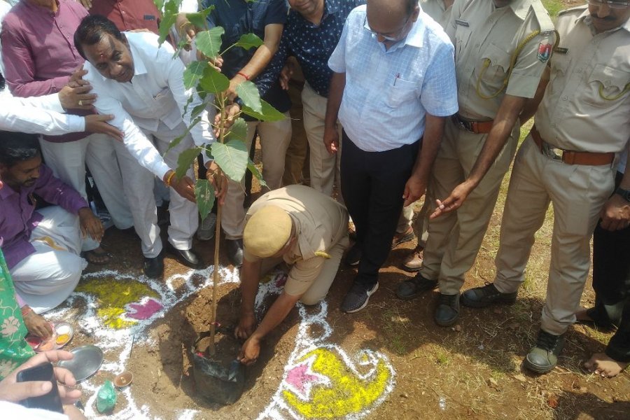 मंत्री अर्जुन बामनिया ने 70वे  वन महोत्सव में पौधा  लगाकर पौधरोपण कार्यक्रम का शुभारम्भ किया 