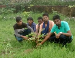 छोटा पावागढ़ कातरिया में हुआ पौधरोपण, इसमें लक्ष्मी तरु का पौधा भी लगाया