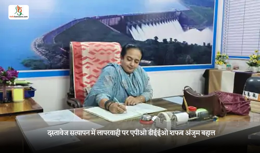 दस्तावेज सत्यापन में लापरवाही पर एपीओ डीईईओ शफब अंजुम बहाल